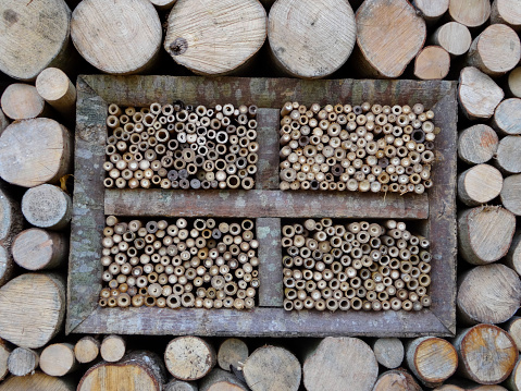 Ideas for a Bug Hotel? Build a Log Pile Instead
